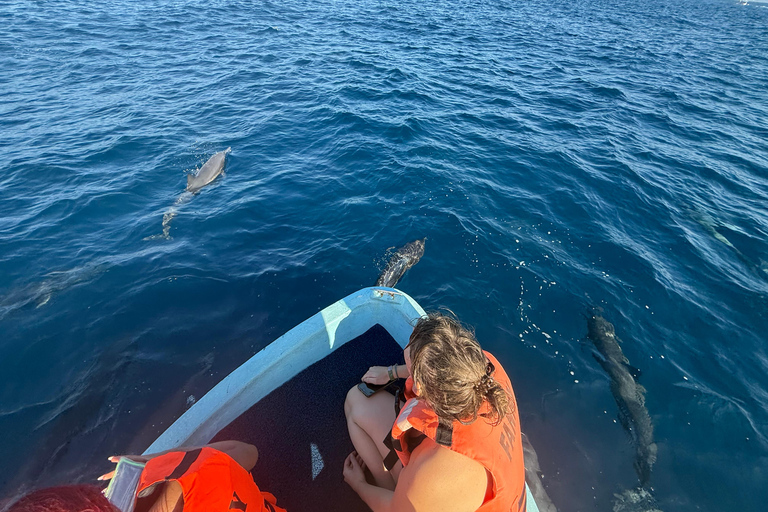 Puerto Escondido: Bootstour zu Delfinen und MeerestierenPrivate Tour