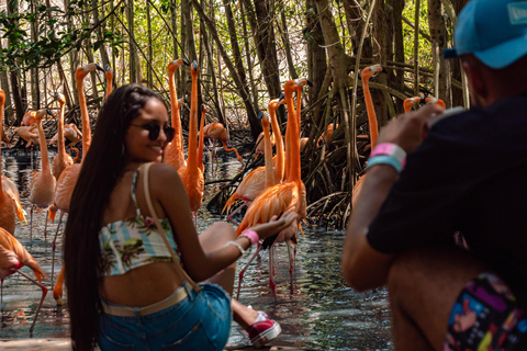 Cartagena: 1-dniowa wycieczka do Aviary i Playa Blanca autobusem