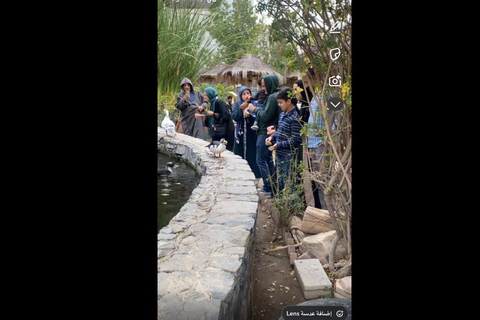 Makkah or Jeddah to Al-Hada, Al-Shafa, and Taif City Tour A journey full of experiences، learn about Saudi hospitality