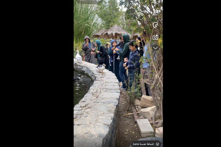 Makkah or Jeddah to Al-Hada, Al-Shafa, and Taif City Tour A journey full of experiences، learn about Saudi hospitality