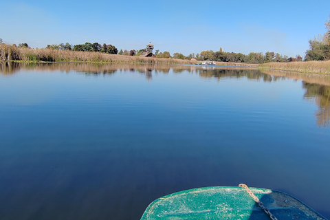 Passeio de safári em Zasavica