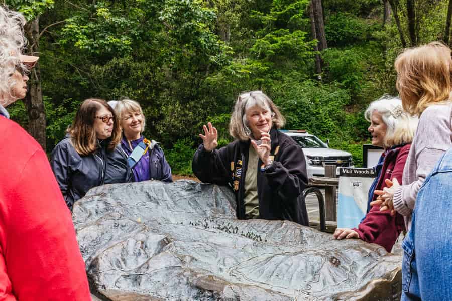 Große Stadtführung durch San Francisco + Muir Woods und Sausalito. Foto: GetYourGuide