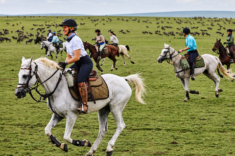 From Arusha: Guided Maji ya Chai Horseback Safari