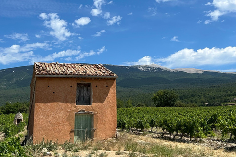 Departure from Avignon: Try climbing Mont Ventoux by electric bike From Avignon: Try climbing Mont Ventoux on an electric bike