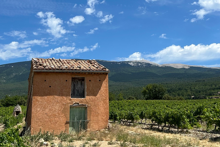 Departure from Avignon: Try climbing Mont Ventoux by electric bike From Avignon: Try climbing Mont Ventoux on an electric bike