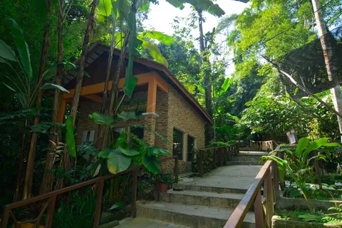 Da Kuala Lumpur: Tour privato del Taman Negara