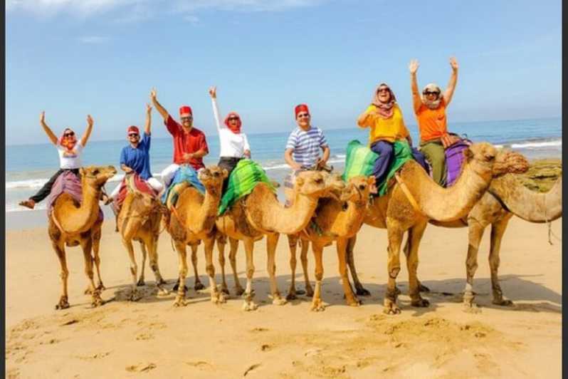 Private Guided Tangier Tour from Marbella with Ali