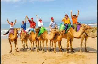 Private Tanger Tour ab Malaga inklusive Kamel und Mittagessen