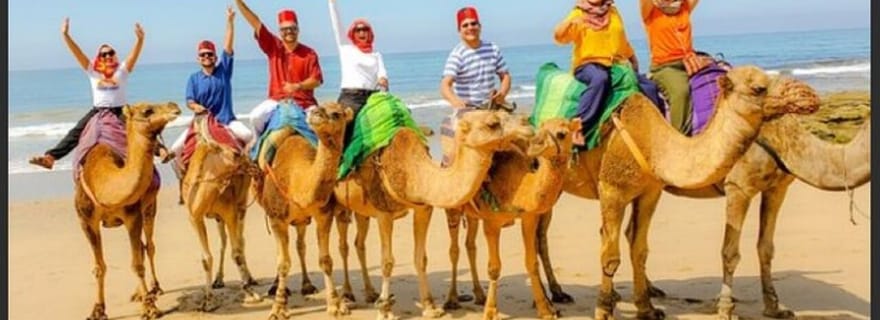 Visite privée de luxe de Tanger au départ d'Estepona, tout compris