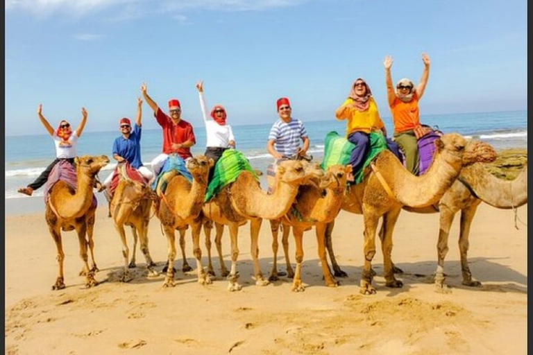 Private Tangier Tour from Estepona including Camel &amp; Lunch