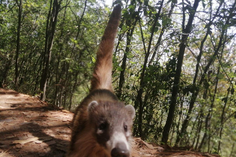 "Chipinque" Hiking tour, with guide, transfer and tickets Monterrey: Chipinque Ecological park, route guide