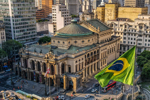 Movies & TV Show Sao Paulo Private Guided Walking Tour 3-hour: Movies, TV Shows & CCBB Tour