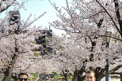 Osaka: Springtime Sakura Picnic "Hanami"