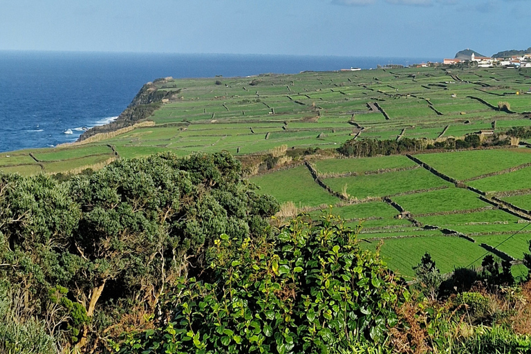 Terceira Island: Full Day North Coast Tour Terceira Island: Full-Day North Coast Tour