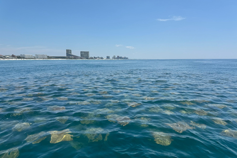 Fort Lauderdale: Parasailing am Strand von Fort Lauderdale