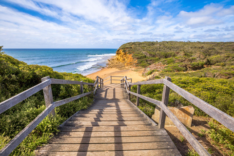 2-Day Private Premium Great Ocean Road Tour