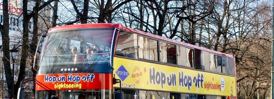 Trondheim : visite en bus à arrêts multiples d'une journée