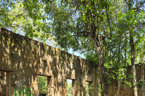 Original Açaí Experience and Visit to the Ruins of Paricatuba in Amazonas