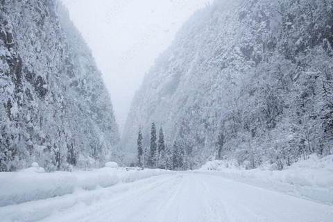 Tbilisi: Sabaduri Forest & Chronicles Tour With Wildlife