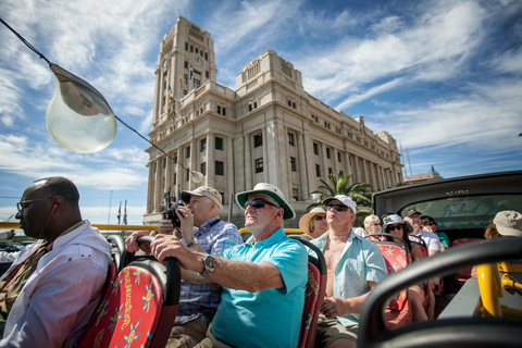 City Sightseeing: Santa Cruz de Tenerife HOHO Bus Tour 24-Hour Hop-On Hop-Off Bus Tour