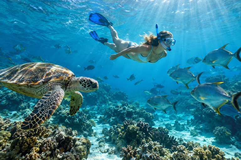 Labuan Bajo: 4-Day Sumbawa Whale Shark & Moyo with Flights Sharing Whale Shark & Moyo Island Private Tour