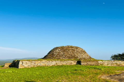 Kandy: Yapahuwa Rock Fortress Private Day Trip