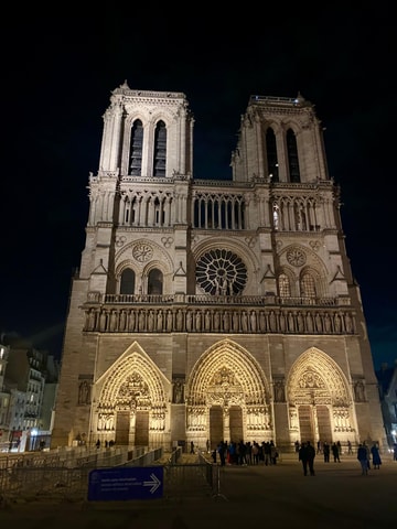 Guided visit of Notre Dame, Ile de la Cité, and the Saint-Severin Church
