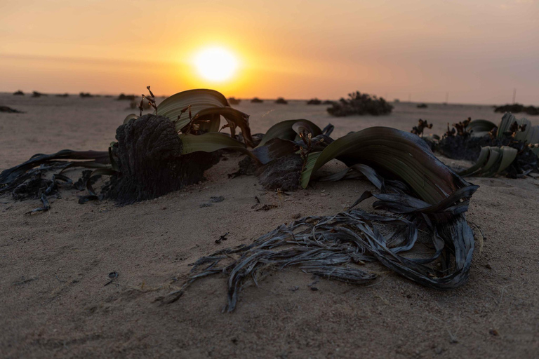 Swakopmund Sunset Magic – Desert Glow, Ocean Dreams