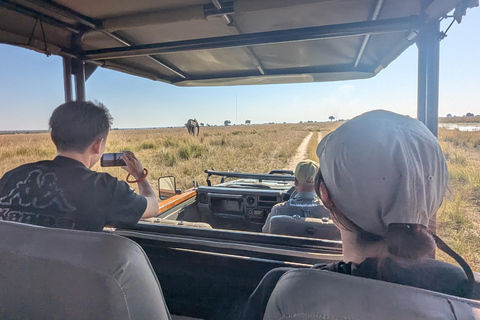 From Livingstone: Chobe game drive and river cruise day trip