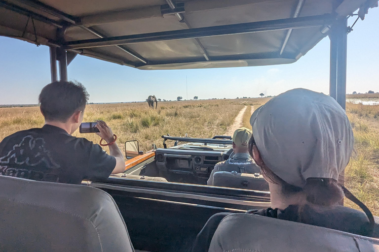From Livingstone: Chobe game drive and river cruise day trip