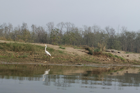 From Kathmandu: 4-Day Chitwan National Park Tour