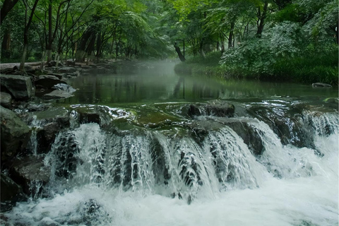 Hangzhou Nine Creeks · Dragon Well Half-Day Hiking Tour
