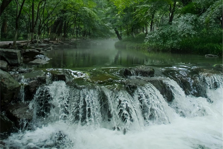 Hangzhou Nine Creeks · Dragon Well Half-Day Hiking Tour