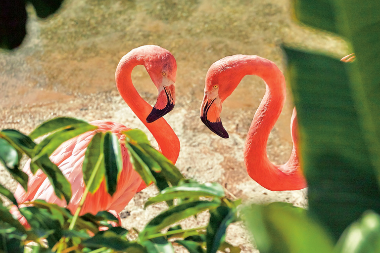 Benidorm: Mundomar Animal Park Entrance Ticket Benidorm: Mundomar Animal Park Afternoon Ticket