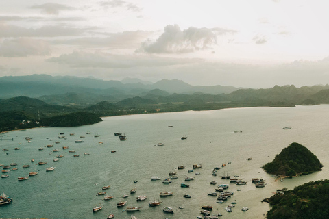 Całodniowa wycieczka łodzią motorową na Komodo z Labuan Bajo