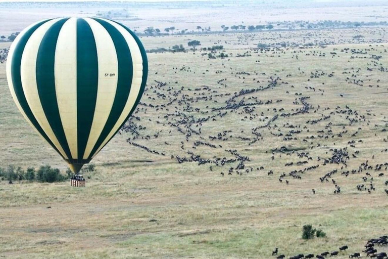 El mejor safari de 5 días en Tanzania