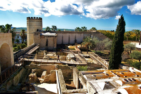 Jerez : visite guidée de la ville et de l&#039;Alcazar