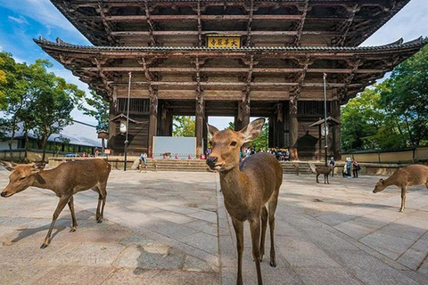 Kyoto/Osaka: Kyoto and Nara Sites &amp; History Day Trip