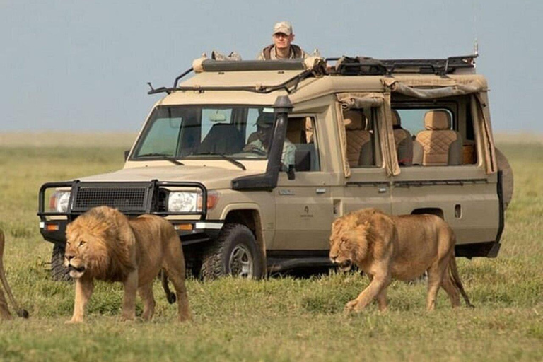 Nairobi:2 Day Hells Gate, Lake Naivasha & Lake Nakuru Safari