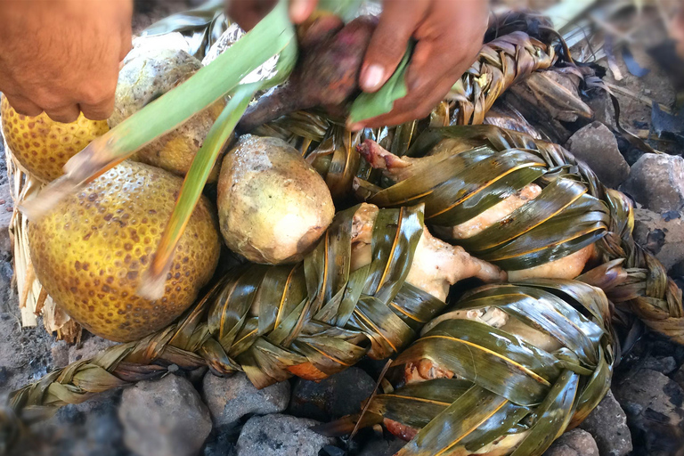 Erlebe die fidschianische Kultur und Küche (Nachttour)Nadi: Abendliche Tour durch ein fidschianisches Dorf mit Kava-Zeremonie