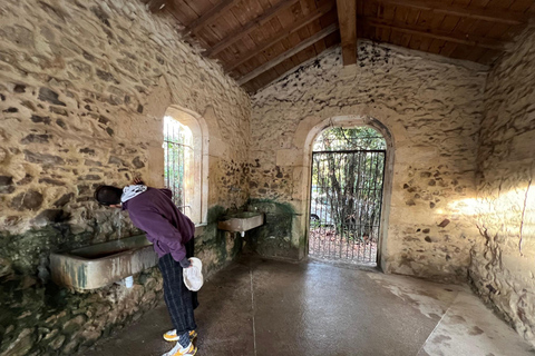 Montpellier: Tour guidato di luoghi insoliti in bicicletta elettrica