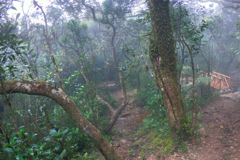 Knuckles Mountain Watervallen Luipaardpad Trek vanuit Kandy