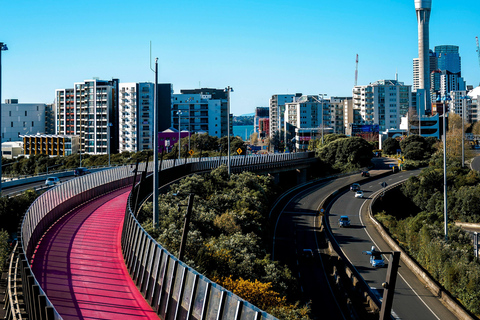 Heart of Auckland: Private Half-Day City Tour