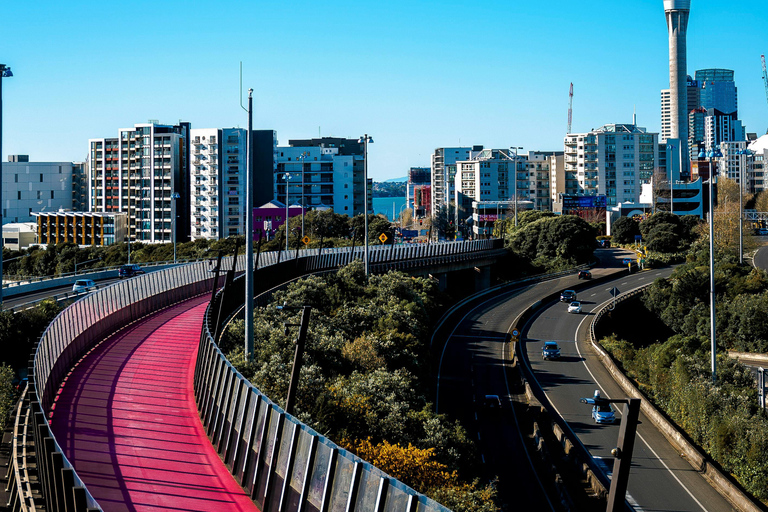 Heart of Auckland: Private Half-Day City Tour