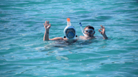 Snorkelen met dolfijnen + zeevruchtenlunch - Housity