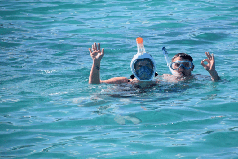 Île aux Bénitiers in motoscafo + nuoto con i delfini e pranzo