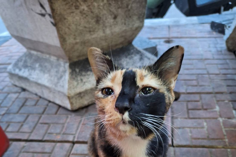 Private tour guide in Ayutthaya