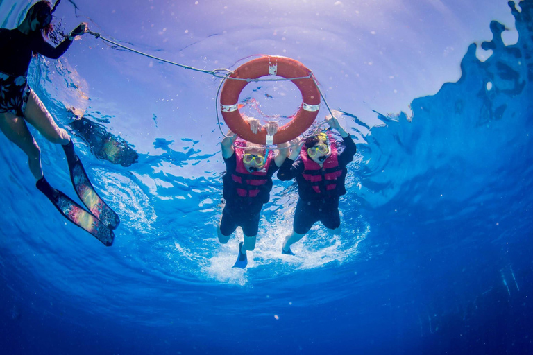 Cairns: Great Barrier Reef Snorkeling Tour with Lunch