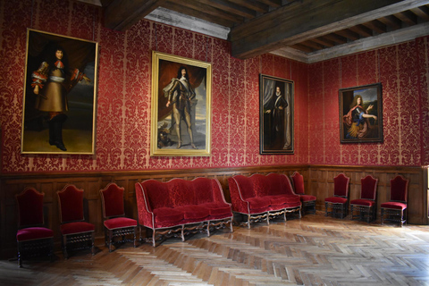 Castelo de Azay-le-Rideau: Visita guiada particular com ingresso