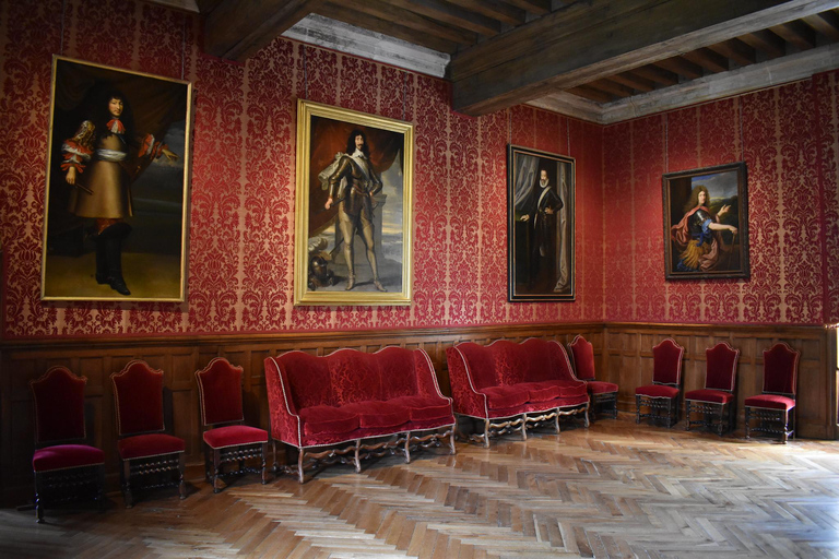 Château d&#039;Azay-le-Rideau : Visite guidée privée avec billet d&#039;entrée